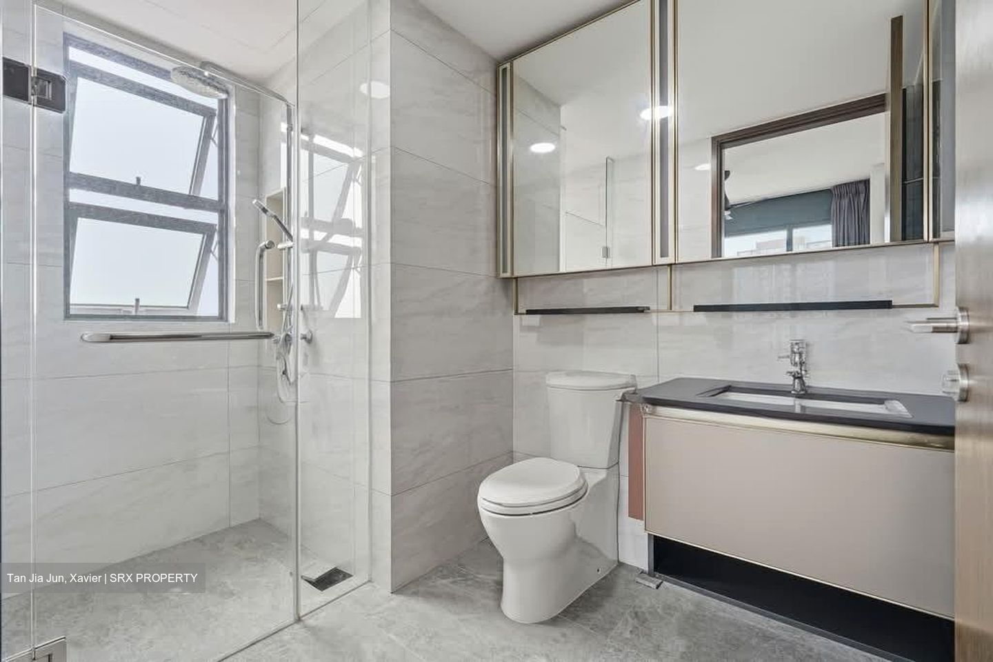 Normanton Park (D5), Apartment #560148841